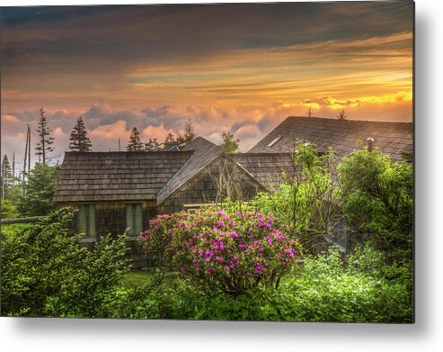 Appalachia Metal Print featuring the photograph Mountain Flowers at Sunrise by Debra and Dave Vanderlaan