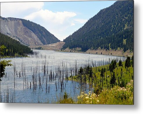 Metal Print featuring the photograph Mountain River by Michelle Hoffmann