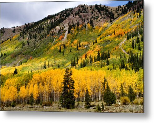 Aspen Metal Print featuring the photograph Mountain Side Autumn by Lana Trussell