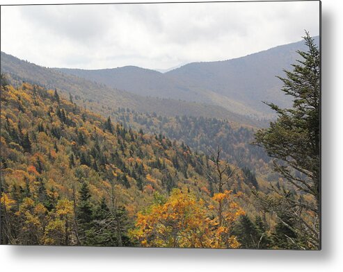 Mountains Metal Print featuring the photograph Mountain Side Long View by Allen Nice-Webb