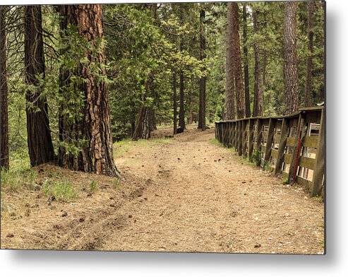 Trail Metal Print featuring the photograph Mountain Trail by Ben Graham