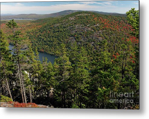 Trail Metal Print featuring the photograph Mountain View, Acadia National Park by Kevin Shields