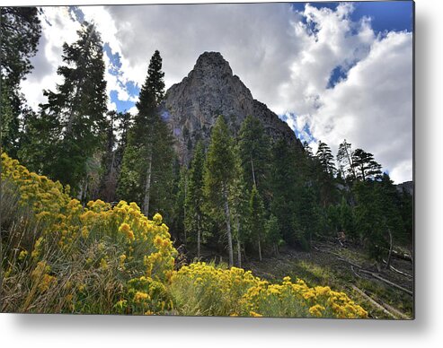 Humboldt-toiyabe National Forest Metal Print featuring the photograph Mt. Charleston Basin by Ray Mathis
