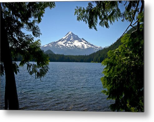 Lakes Metal Print featuring the photograph Mt Hood over Lost Lake by Albert Seger