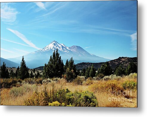 Landscape Metal Print featuring the photograph Mt Shasta by Sylvia Cook