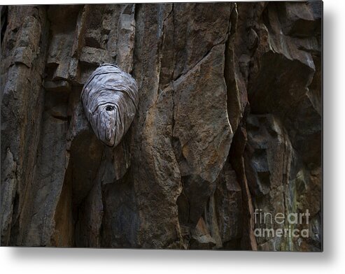 Rocks Metal Print featuring the photograph Mummy Head by Barbara Schultheis