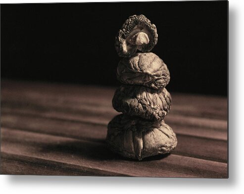 Mushrooms Metal Print featuring the photograph Mushroom Cairn by Holly Ross