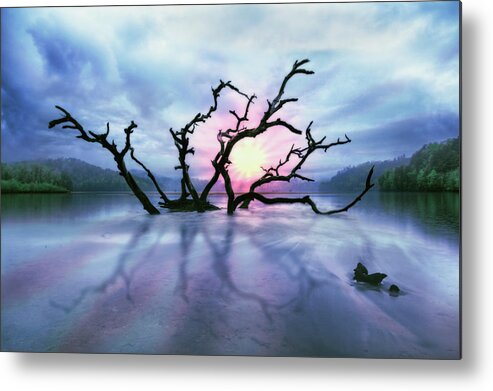 Appalachia Metal Print featuring the photograph Mysterious Dawn by Debra and Dave Vanderlaan