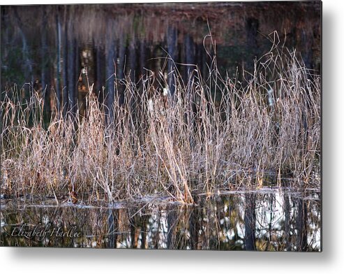  Metal Print featuring the photograph Mystic Marsh by Elizabeth Harllee