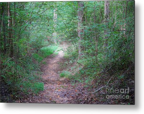 Tennessee Metal Print featuring the photograph Natchez Trace Tennessee by Merle Grenz