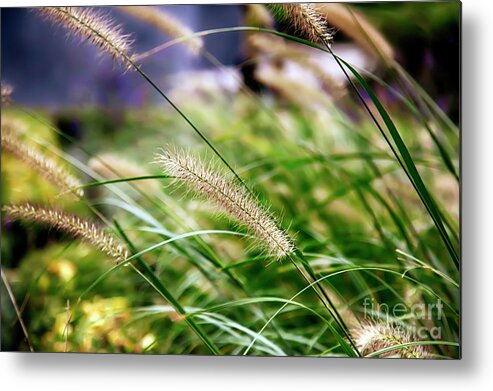 Nature Metal Print featuring the photograph Nature Background by Ariadna De Raadt