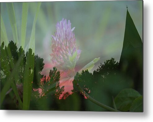 Chirch Metal Print featuring the photograph Nature Is My Church 2 by Ellery Russell