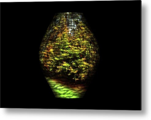 Nature Metal Print featuring the photograph Nature Vase 1 by Angie Tirado