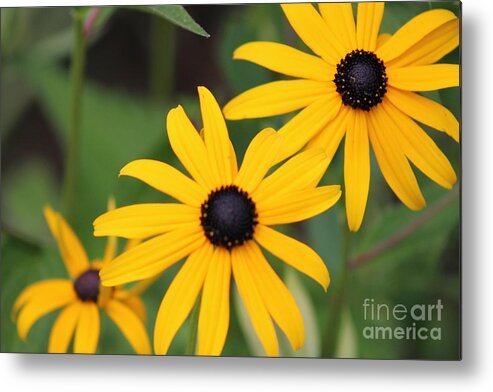 Yellow Metal Print featuring the photograph Nature's Beauty 34 by Deena Withycombe