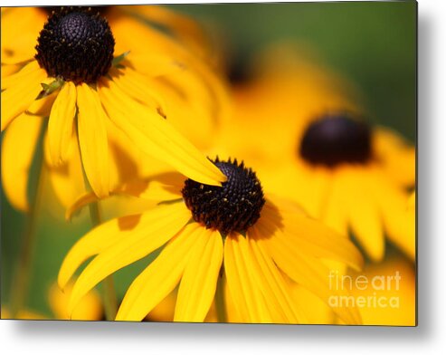 Yellow Metal Print featuring the photograph Nature's Beauty 51 by Deena Withycombe