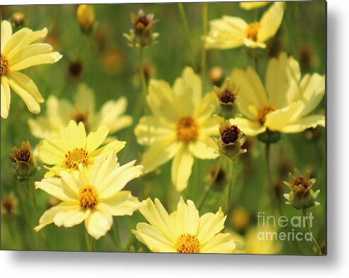 Yellow Metal Print featuring the photograph Nature's Beauty 61 by Deena Withycombe