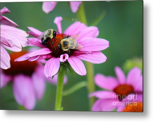 Pink Metal Print featuring the photograph Nature's Beauty 69 by Deena Withycombe