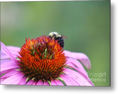 Pink Metal Print featuring the photograph Nature's Beauty 73 by Deena Withycombe