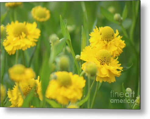 Yellow Metal Print featuring the photograph Nature's Beauty 92 by Deena Withycombe