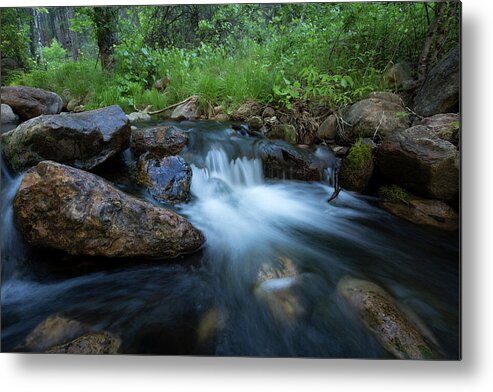 Beauty Metal Print featuring the photograph Nature's Harmony by Sue Cullumber