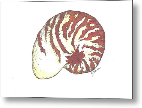 Sea Shells Metal Print featuring the painting Nautilus by Elise Boam
