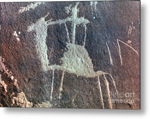 Camel Metal Print featuring the photograph Neolithic Petroglyph by Granger