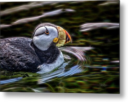 Puffin Metal Print featuring the photograph Neon Puffin by Bill Posner