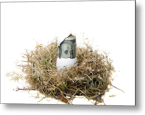  Mikeledray Metal Print featuring the photograph Nest Egg by Mike Ledray