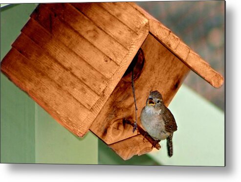 Birdhouse Metal Print featuring the photograph New Brood Ready by Barbara S Nickerson