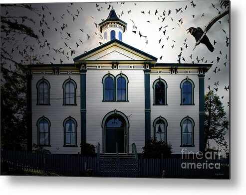 Wingsdomain Metal Print featuring the photograph Night of The Birds . 7D12487 by Wingsdomain Art and Photography