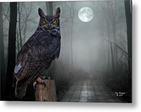 Owl Metal Print featuring the photograph Night Sentinel by Peg Runyan