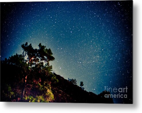 Tree Metal Print featuring the photograph Night sky scene with pine and stars by Raimond Klavins