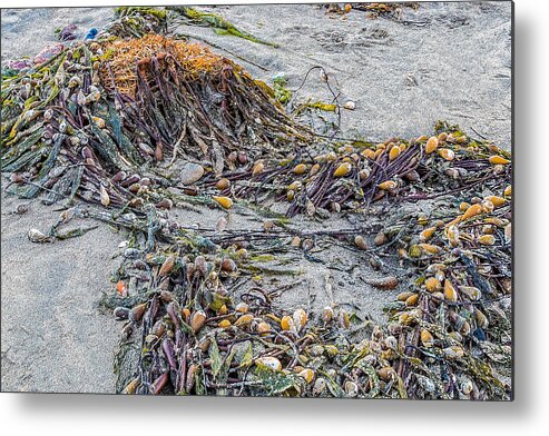 Cayucos Metal Print featuring the photograph Cayucos State Beach Flotsam Abstract by Patti Deters