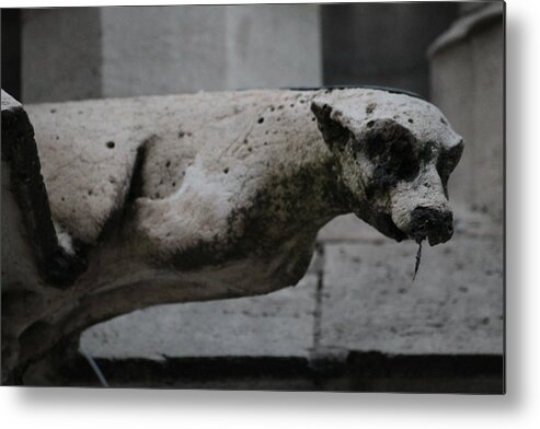 Notre Dame Cathedral Gargoyles Metal Print featuring the photograph Notre Dame Bat Gargoyle by Christopher J Kirby