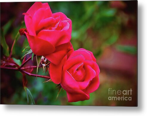 Roses Metal Print featuring the photograph Notre Roman Poetique by Diana Mary Sharpton