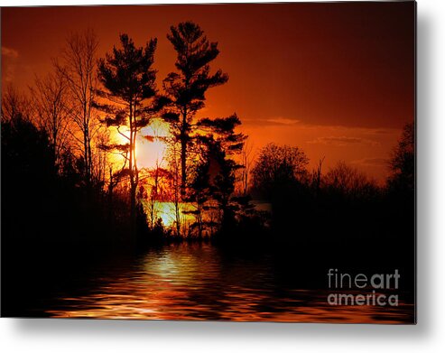 Sunset Metal Print featuring the photograph November Sunset by Elaine Hunter
