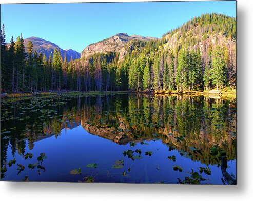 Nymph Lake Metal Print featuring the photograph Nymph Lake Reflections by Greg Norrell