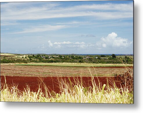 Afternoon Metal Print featuring the photograph Oahu, Wailua by Vince Cavataio - Printscapes