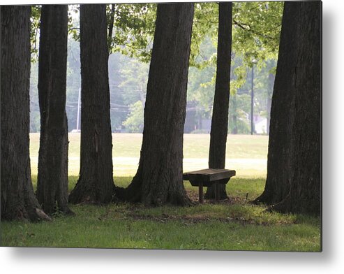 6 Oak Trees Metal Print featuring the photograph Oak Trees and Bench by Valerie Collins