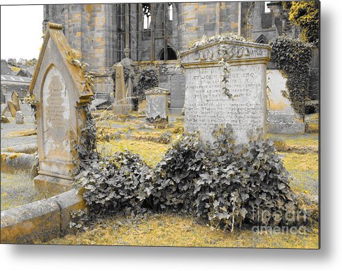 Ruins Of Melrose Abbey Metal Print featuring the photograph Oblivion. Ivy and Golden Lichen by Elena Perelman
