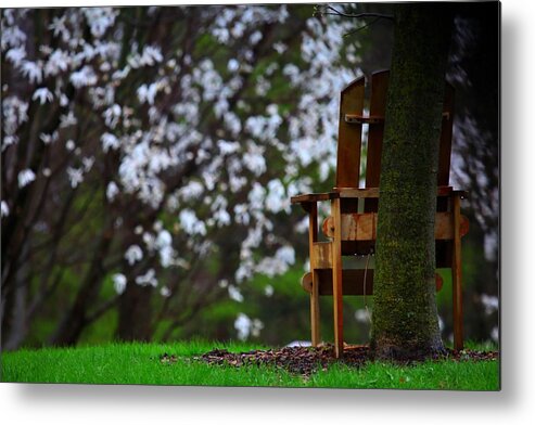 Chair Metal Print featuring the photograph Observation Chair by David Christiansen