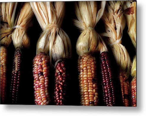 Indian Corn Metal Print featuring the photograph October Corn by Michael Eingle