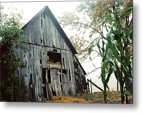 Rural Metal Print featuring the photograph Old Barn in the Morning Mist by Frank DiMarco