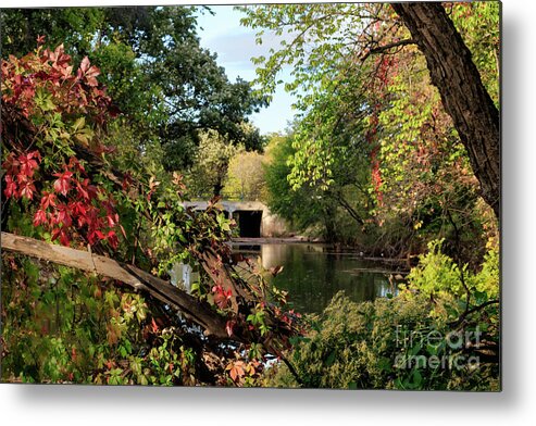 Forest Metal Print featuring the photograph Old Bridge in the Fall by Richard Smith