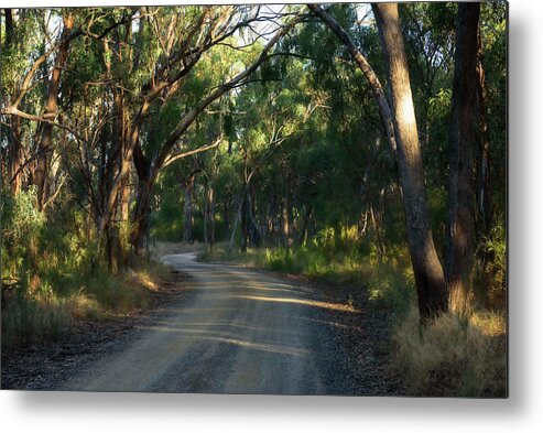 Area Metal Print featuring the photograph Old Bush Road by Damian Morphou