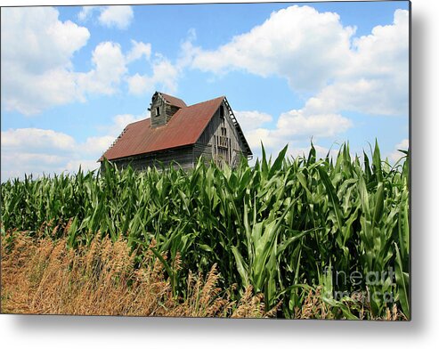 Corn Metal Print featuring the photograph Old Corn Crib by Paula Guttilla