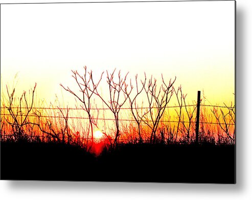 Landscape Metal Print featuring the photograph Old Fence by David Ralph Johnson