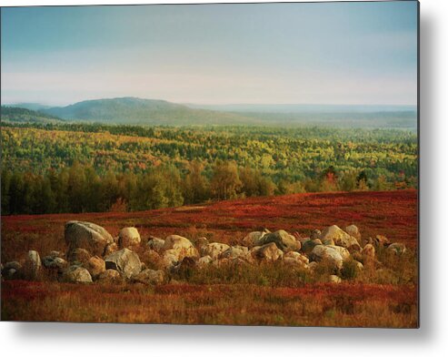 Rock Wall Metal Print featuring the photograph Old Rock Wall by Sue Capuano