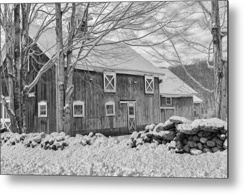 Black And White Metal Print featuring the photograph Old Winter bw by Bill Wakeley