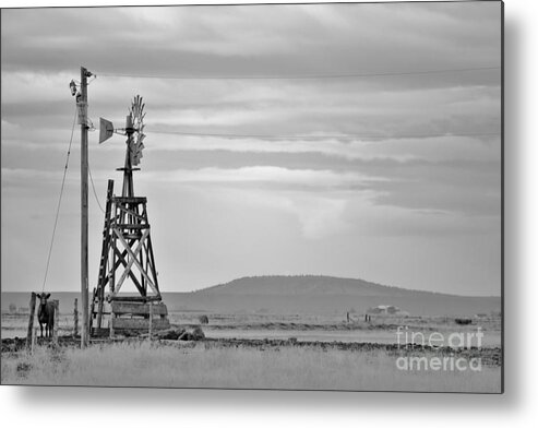 Cow Metal Print featuring the photograph Oldtimer by Merle Grenz